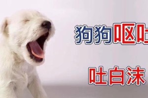 狗吐东西的原因及应对方法（揭秘狗吐东西的隐患，学会正确应对）