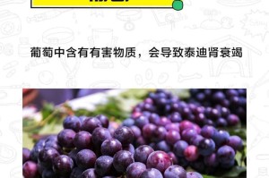 泰迪狗的食物选择与喝水要点（了解泰迪狗的饮食需求，让它健康成长）