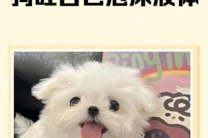 小狗抽搐口吐白沫，如何应对？（探究小狗抽搐口吐白沫的原因及处理方法）