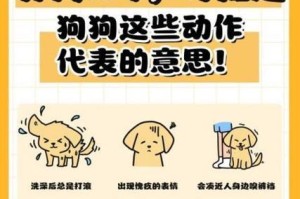 狗的动作（揭示狗狗常见动作背后的秘密和意义）