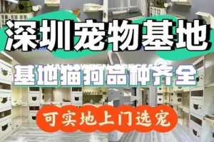以宠物购买为主题的平台比较与选择（从哪个平台购买宠物更合适？）