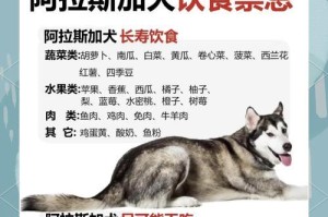 成年阿拉斯加的驱虫周期及方法（养护阿拉斯加的健康生活方式与注意事项）