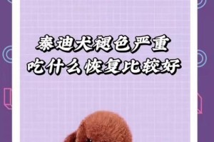 小泰迪的零食选择（满足小泰迪的味蕾与健康需求）