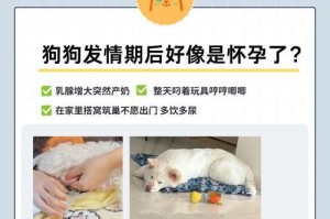 狗狗配种后多久受孕？（了解狗狗受孕周期和关键因素）