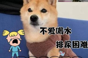 狗狗结石手术后的康复时间及注意事项