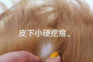 揭开皮下肿块的谜团（了解表皮下肿块的种类和治疗方法）