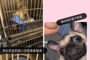 守望清洁，洗澡的最佳时机（为什么要等待适当的时间才能洗澡？）