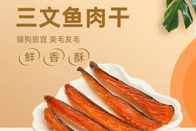 以萨摩脚底的纯洁白色，见证幸福足迹（纯洁白色，以萨摩脚底的一片净土）