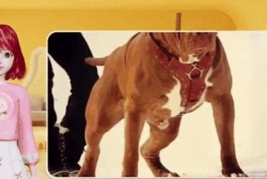 如何科学饲养惠比特幼犬（健康成长从合理饮食开始）