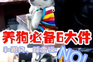 养狗必备物品大全（详细解读养狗前要准备的各种物品，让你轻松迎接新家庭成员）