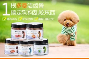 泰迪犬如何降火？（泰迪犬上火的表现及降火方法）