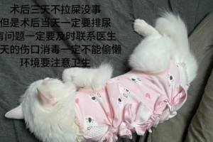 猫不能驱虫的情况及应对措施（探讨猫咪不能驱虫的原因和解决方法）