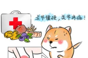 白醋对狗狗的好处（探究白醋在狗狗健康中的秘密）