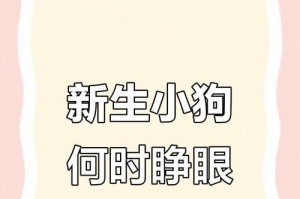 小狗崽睁眼的奇迹（探秘小狗崽睁眼的时间和过程）