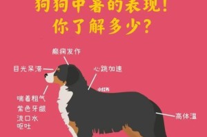 救命关头！狗狗中暑应如何迅速输液？（了解中暑危害，挽救宠物生命，急需这一关键步骤）