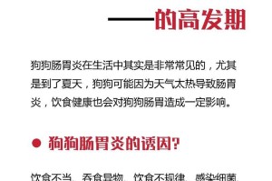 狗肠胃炎食谱（舒缓狗宠物肠胃问题的饮食建议）