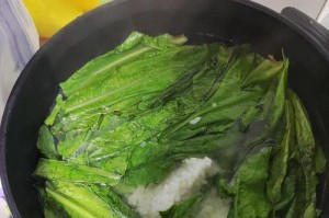 充分利用剩余的狗汤（创意用途让狗汤发挥更大价值）