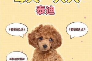 轻松分辨真假泰迪（购买泰迪的小技巧）