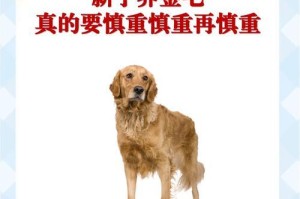 饲养金毛犬的费用究竟有多高？（金毛犬养育成本详解，带你揭开幕后的秘密）
