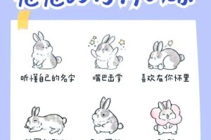 教兔兔上厕所的有效方法（通过训练和养成良好习惯，让兔兔自主上厕所）