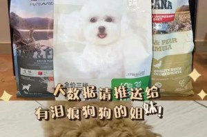 泰迪幼犬吃泡的狗粮需要多久？（揭秘泰迪幼犬食用泡的狗粮的时间要求）
