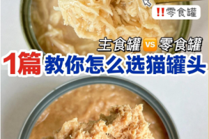 宠物罐头：普通罐头与主粮罐头的区别及零食罐的风险