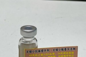 狗狗打完细小，如何做好预防措施（打疫苗，保护伙伴的健康）