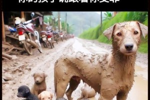 狗对人的危害带来的好处（探索狗对人类的积极影响）