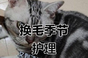 猫季节换毛的周期和养护技巧（了解猫咪的毛发换新周期，让你的宠物更舒适）