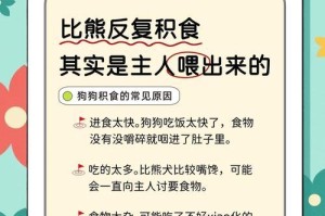如何正确喂养你的比熊宠物（每日进食次数对比熊健康的影响及注意事项）