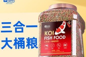 以锦鲤增色喂什么饲料好？（选择适合锦鲤的饲料，让其色彩更加绚丽！）