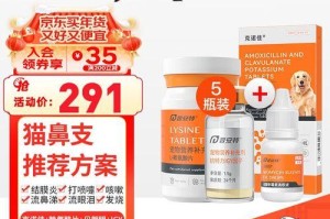 如何给狗狗处理发烧的药物问题（应对发烧情况下，你需要知道的药物选择与注意事项）