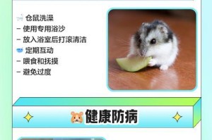饲养仓鼠的禁忌（细致呵护，健康成长/仓鼠饲养的重要注意事项）