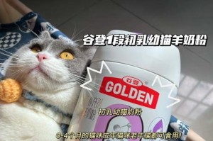 猫咪生小猫，如何补养？（为宝贝猫咪提供全面的营养和保健）