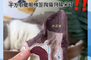 探秘狗耳朵的保健之道（揭秘狗耳朵的清洁和护理方法）