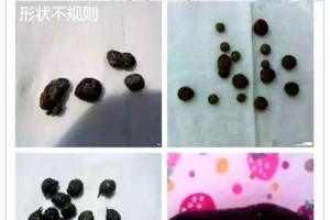 幼兔拉稀的补救方法（有效缓解幼兔拉稀的措施及注意事项）